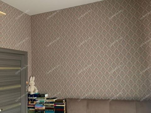 dom-selo-borkovka-gorodskoy-okrug-vyksa фото