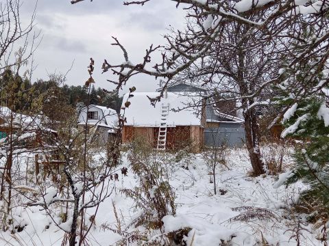 dacha-gorod-semenov-semenovskiy-gorodskoy-okrug фото