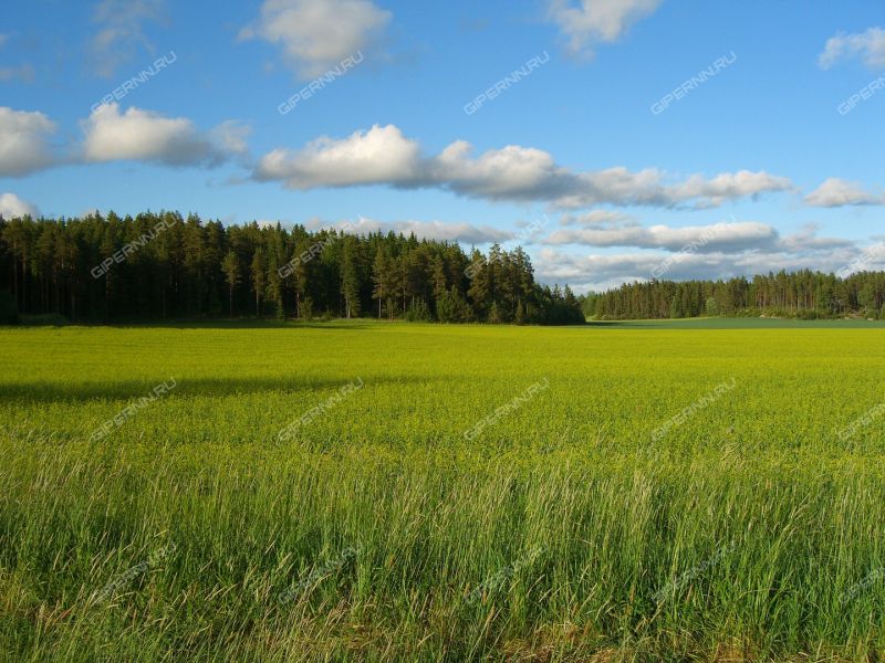 земельный участок под коттеджный посёлок в городском округе Семёновский Нижегородской области