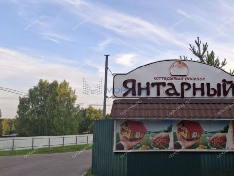 derevnya-zubaniha-dalnekonstantinovskiy-rayon фото