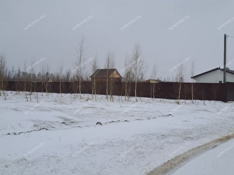 derevnya-mihalchikovo-kstovskiy-rayon фото