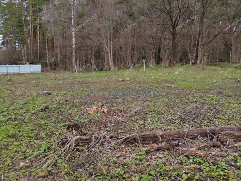 snt-stroitel-bogorodskiy-municipalnyy-okrug фото