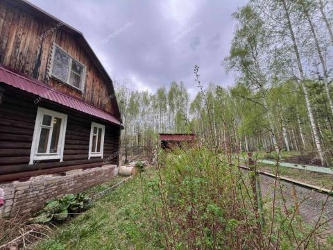 bor-gorodskoy-okrug-bor фото