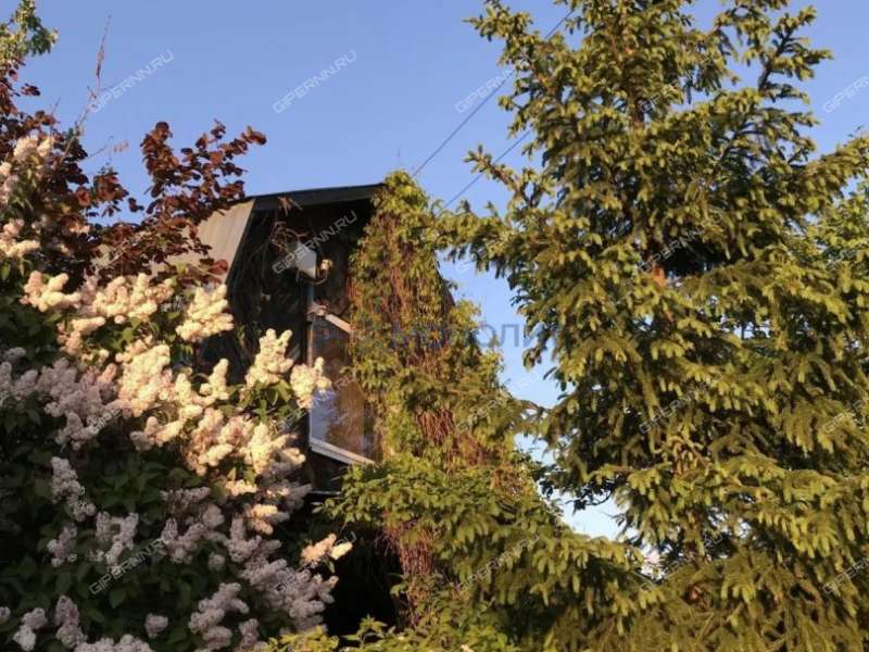 дача на дзержинец город Дзержинск