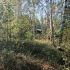 земельный участок 7,81 сотки Центральная улица посёлок Ситники
