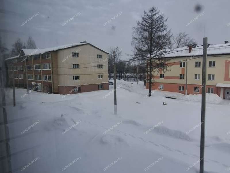 двухкомнатная квартира на улице Герцена дом 6, к3 город Кстово