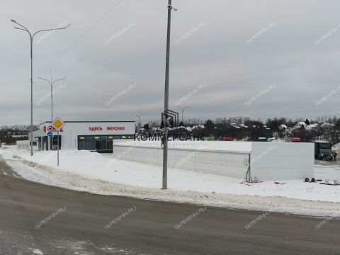 derevnya-burcevo-bogorodskiy-municipalnyy-okrug фото