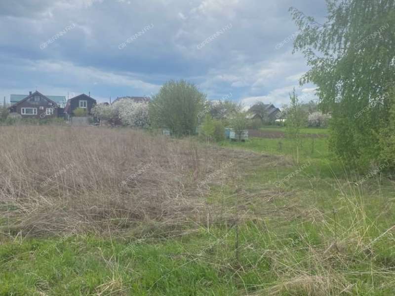 земельный участок 10,6 сотки Череповская улица деревня Серково