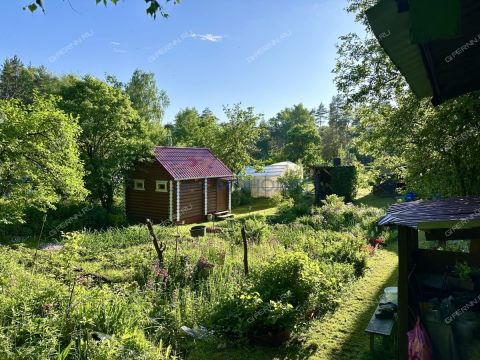dacha-yubileynyy-ter-snt-gorodskoy-okrug-bor фото