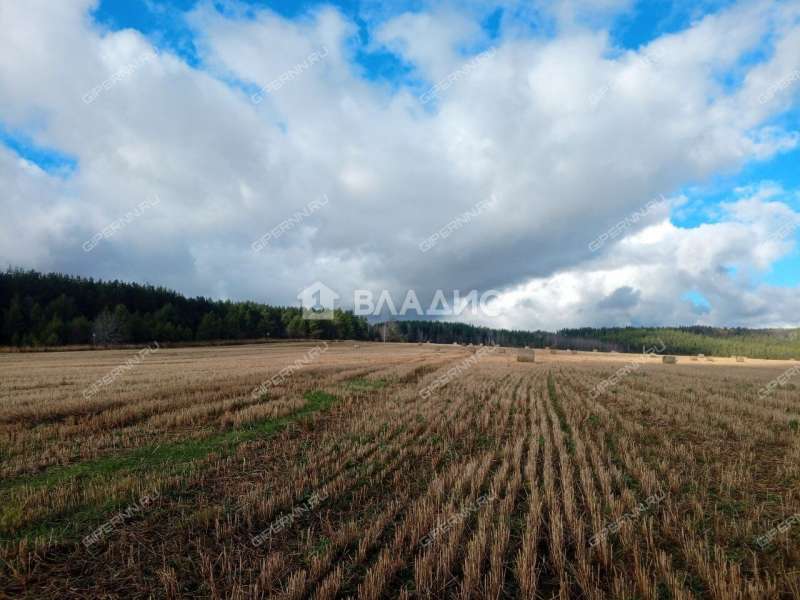 земельный участок 10 соток деревня Инютино