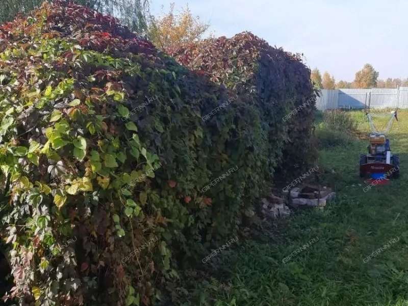 дом на улице Новая Линия село Варганы