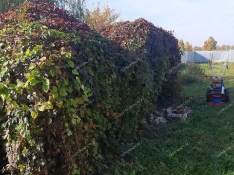 dom-selo-vargany-lyskovskiy-municipalnyy-okrug фото