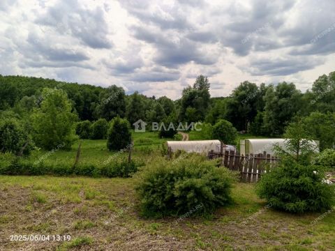 derevnya-shumilovo-bogorodskiy-municipalnyy-okrug фото