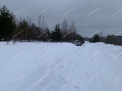 selo-arapovo-bogorodskiy-municipalnyy-okrug фото