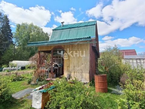 dacha-derevnya-filipcevo-smolkovskiy-selsovet-gorodeckiy-rayon фото