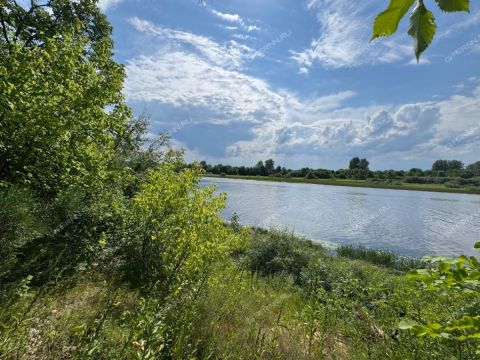 oktyabrskiy-r-n-gorodskoy-okrug-bor фото