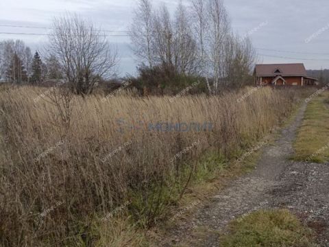 derevnya-polyany-bogorodskiy-municipalnyy-okrug фото