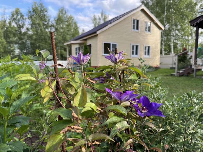 дом на улице Дачная деревня Зубаниха