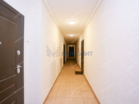 1-komnatnaya-derevnya-ankudinovka-kstovskiy-rayon фото