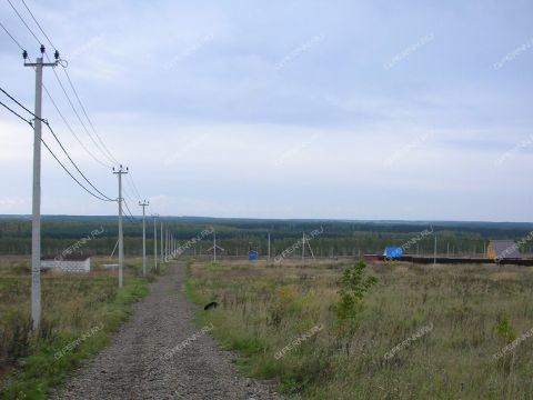 derevnya-nepecino-bogorodskiy-municipalnyy-okrug фото