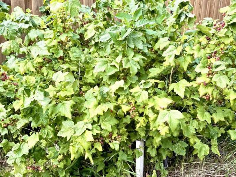 дом на Молодежной улице деревня Хватково