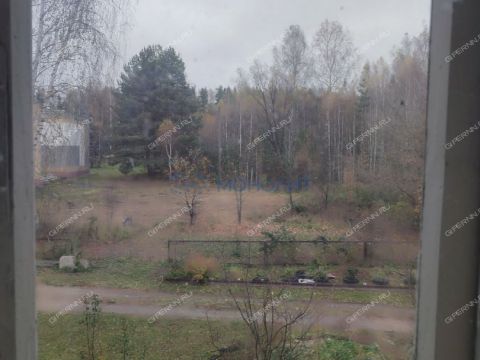 selo-smolki-gorodeckiy-rayon фото