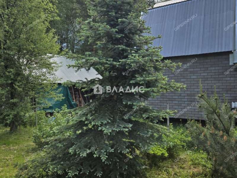дача на 82 СНТ Рассвет