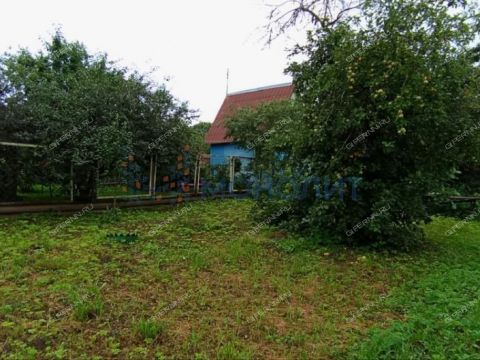 dom-selo-fokino-vorotynskiy-gorodskoy-okrug фото