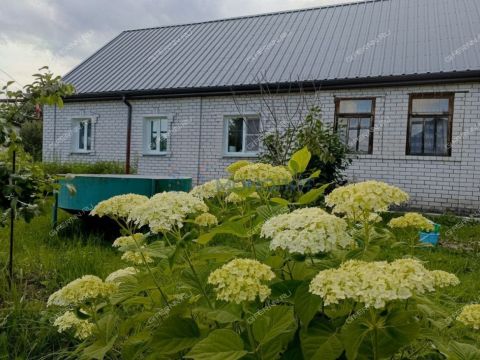 dom-poselok-zheleznodorozhnyy-sitnikovskiy-selsovet-gorodskoy-okrug-bor фото