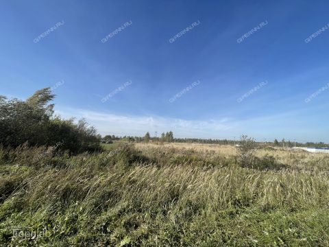 selo-bolshoe-mokroe-kstovskiy-rayon фото